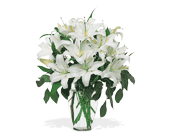 Perfect White Lilies, picture